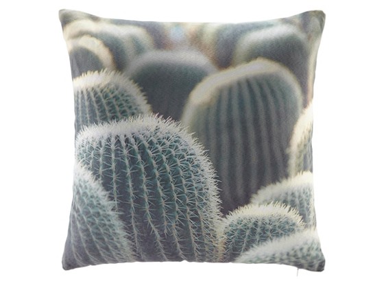 Polštář Ozdobný Cactus - zelená, Moderní, textil (45/45cm) - MÖMAX modern living Polštář Ozdobný Cactus - zelená, Moderní, textil (45/45cm) - MÖMAX modern living