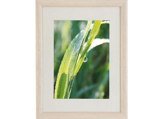 Bilderrahmen Noah, 50x70cm - Naturfarben, KONVENTIONELL, Glas/Holz (50/70cm) - OMBRA Bilderrahmen Noah, 50x70cm - Naturfarben, KONVENTIONELL, Glas/Holz (50/70cm) - OMBRA