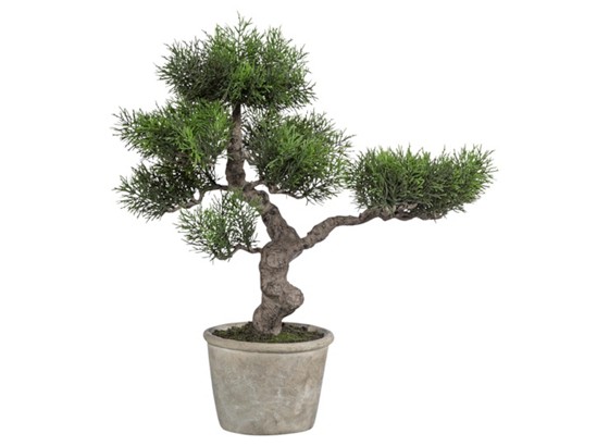 Bonsai 1716125mb-50 - zelena/smeđa, Moderno, plastika (45/27/40cm) Bonsai 1716125mb-50 - zelena/smeđa, Moderno, plastika (45/27/40cm)
