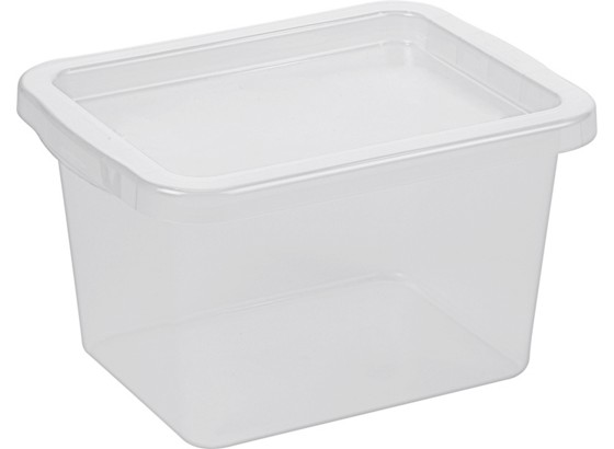 Box mit Deckel Borkum, 8 Liter - Transparent, KONVENTIONELL, Kunststoff (33.0/25.0/19.0cm) Box mit Deckel Borkum, 8 Liter - Transparent, KONVENTIONELL, Kunststoff (33.0/25.0/19.0cm)