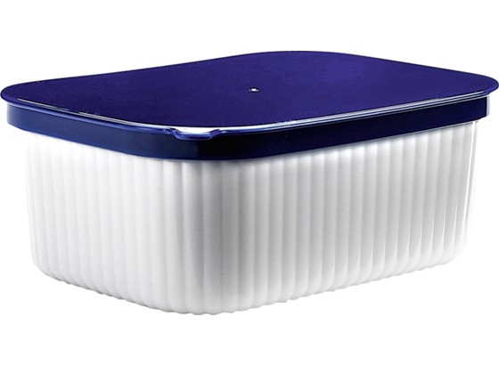 Butterdose 1740 09 - Blau/Weiß, KONVENTIONELL, Kunststoff (14/10,5/6cm) - PLAST 1 Butterdose 1740 09 - Blau/Weiß, KONVENTIONELL, Kunststoff (14/10,5/6cm) - PLAST 1