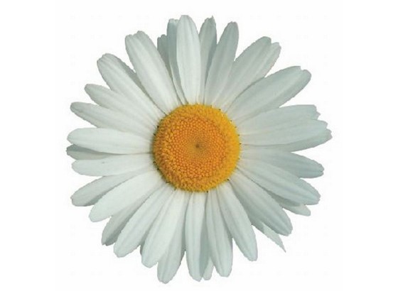 Csempematrica 8 Db - konvencionális (15/15cm) Csempematrica 8 Db - konvencionális (15/15cm)