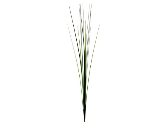 Dekogras Isolepis - Grün, KONVENTIONELL, Kunststoff (85cm) Dekogras Isolepis - Grün, KONVENTIONELL, Kunststoff (85cm)