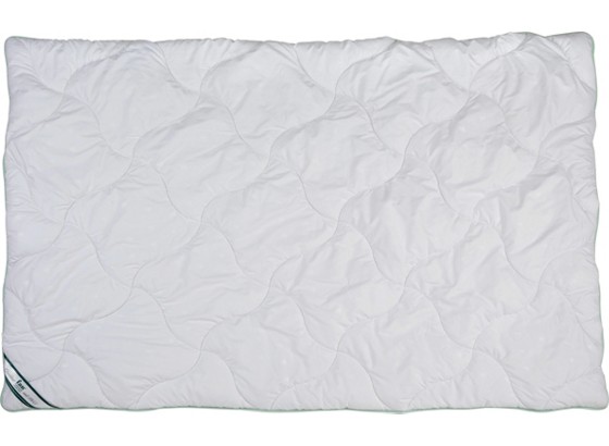 Frankenstolz Duo-steppbett Aloe Vera - Weiß, MODERN, Textil (140/200cm) - FAN Frankenstolz Duo-steppbett Aloe Vera - Weiß, MODERN, Textil (140/200cm) - FAN