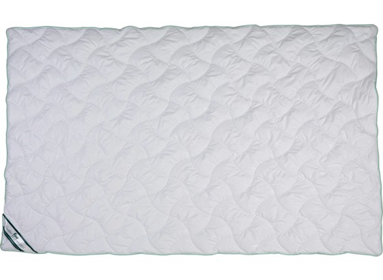 Frankenstolz Leichtsteppdecke Aloe Vera - Weiß, MODERN, Textil (140/200cm) - FAN Frankenstolz Leichtsteppdecke Aloe Vera - Weiß, MODERN, Textil (140/200cm) - FAN