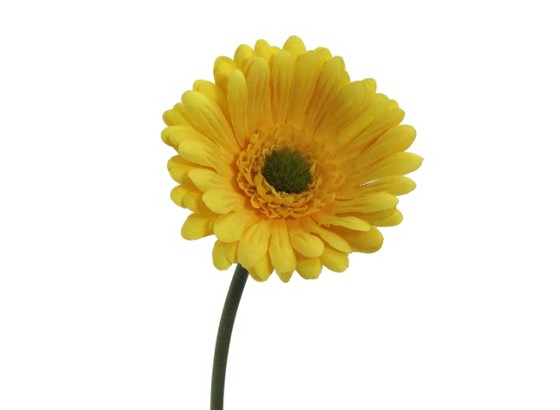 Gerbera 102002-30 - sárga/zöld, konvencionális, műanyag/textil (50cm) Gerbera 102002-30 - sárga/zöld, konvencionális, műanyag/textil (50cm)