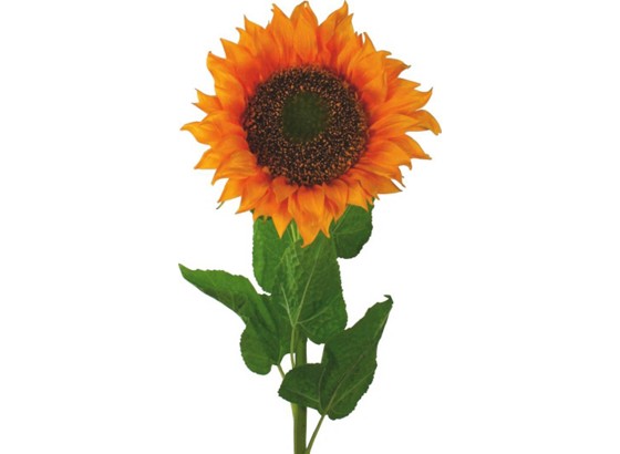 Suncokret 108817-00 - metal (66cm) Suncokret 108817-00 - metal (66cm)