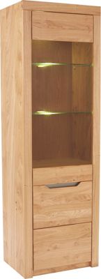 Vitrina Vitrina - Moderno, staklo/drvni materijal (64/197/38cm)